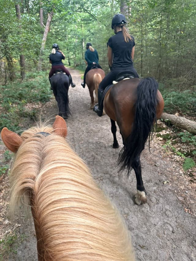 Buitenritten in de natuur