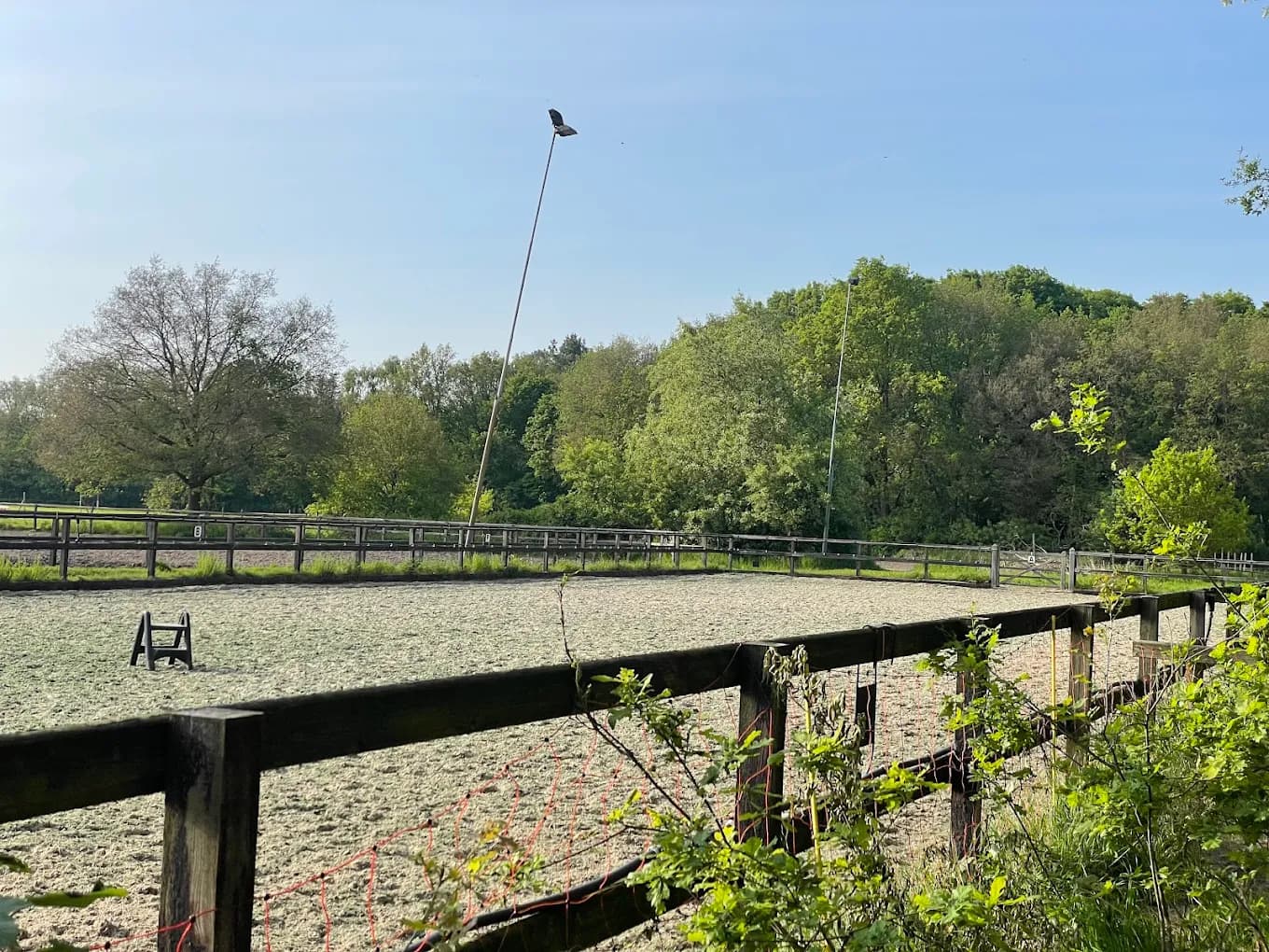 Buitenbak van Manege Duikse Hoef