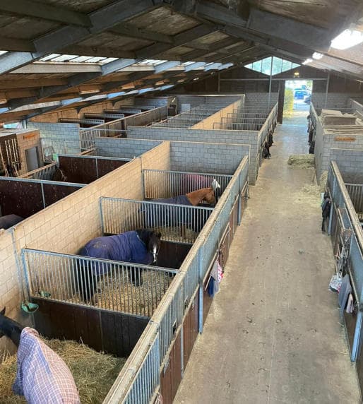 Moderne stallen van Manege Duikse Hoef